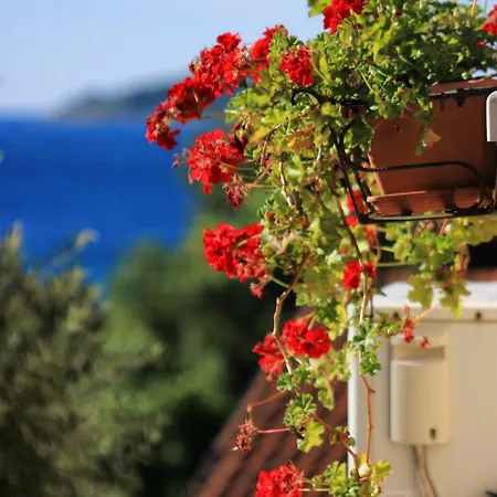 With Parking Space Orebic, Peljesac - 4565 דירה *