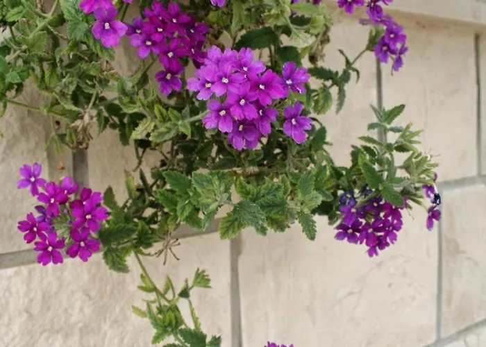 With Parking Space Orebic, Peljesac - 4565 דירה *