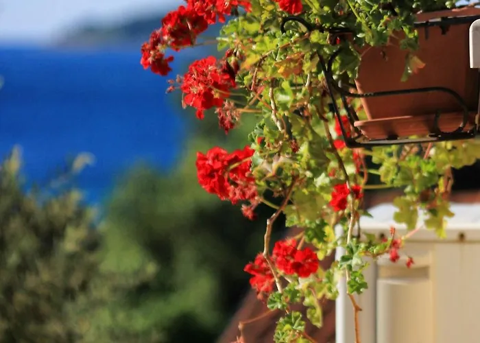 With Parking Space Orebic, Peljesac - 4565 דירה *